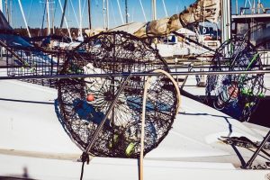 Come Evitare le Trappole del “Dropshipping” e Riconoscere un Vero E-Commerce.