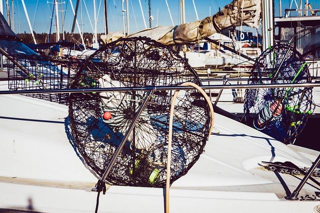 Come Evitare le Trappole del “Dropshipping” e Riconoscere un Vero E-Commerce.